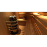 Электрическая печь SAWO ARIES (15 кВт, выносной пульт, нержавейка) ARI6-150NS-P